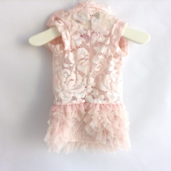 For Pets Only-Secret Crush Dress- Peach Limited Edition - Image 2