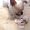 For Pets Only-TopoMio Junior Toy Limited Edition - Image 3