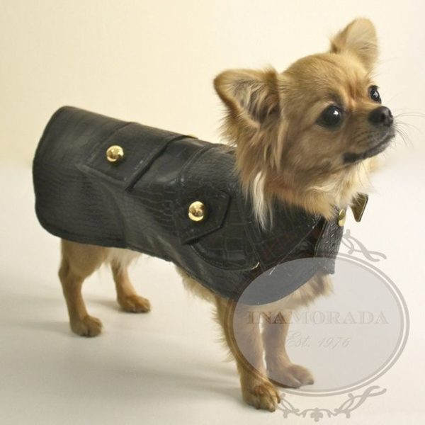 Inamorada Croco Black Coat
