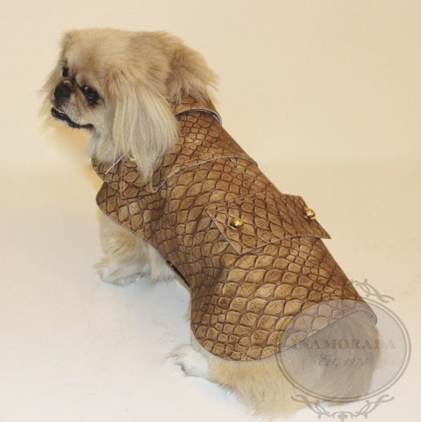 Inamorada Croco Honey Coat