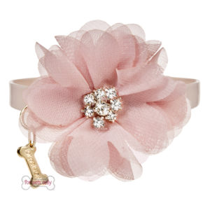 For Pets Only Diamond Flower Collar- Nude