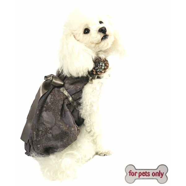 For Pets Only Midnight Flower Collar - Image 2
