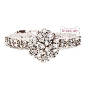 For Pets Only-ice Night Collar Special Collection