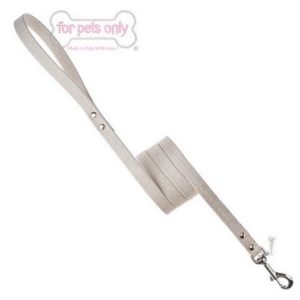 For Pets Only- Lizard Leash Beige-Silver