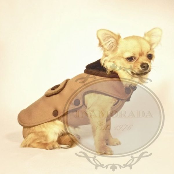 Inamorada Belgravia Coat- Camel