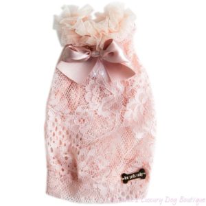 For Pets Only-dream Lace Bomber Limited Edition