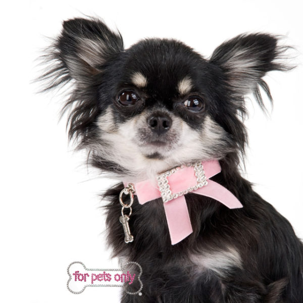 FOR PETS ONLY PINK BIJOUX COLLAR - Image 2