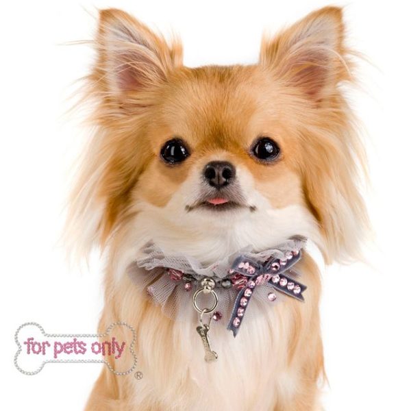 FOR PETS ONLY-DREAM IN GREY COLLAR-COUTURE - Image 2