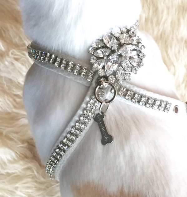 FOR PETS ONLY-ICE NIGHT HARNESS- LIMITED EDITION - Image 2