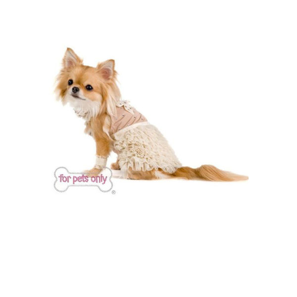 FOR PETS ONLY-CREAM WINTER SET-COUTURE - Image 2