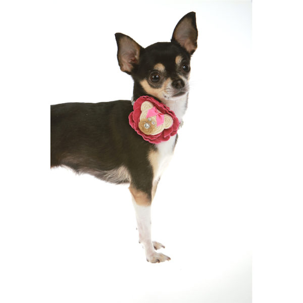 Ottawa  Collar By Trilly Tutti Brilli