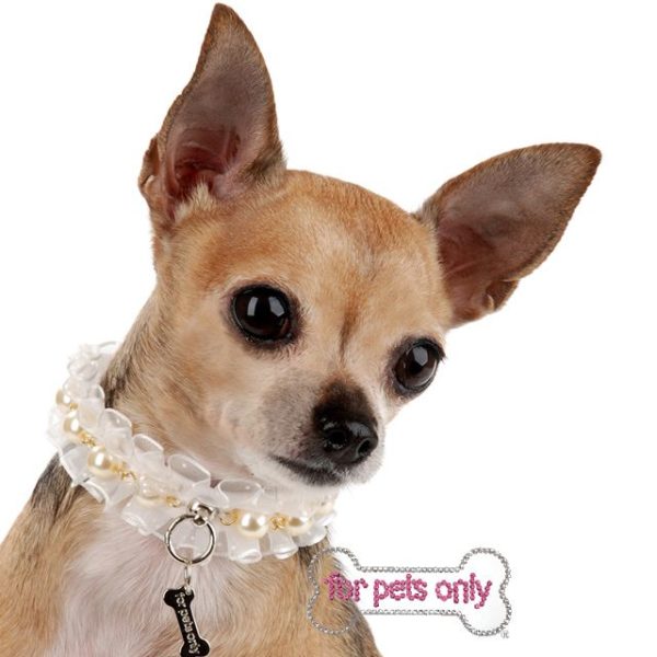 FOR PETS ONLY-BABY DOLL COLLAR WHITE-COUTURE - Image 2