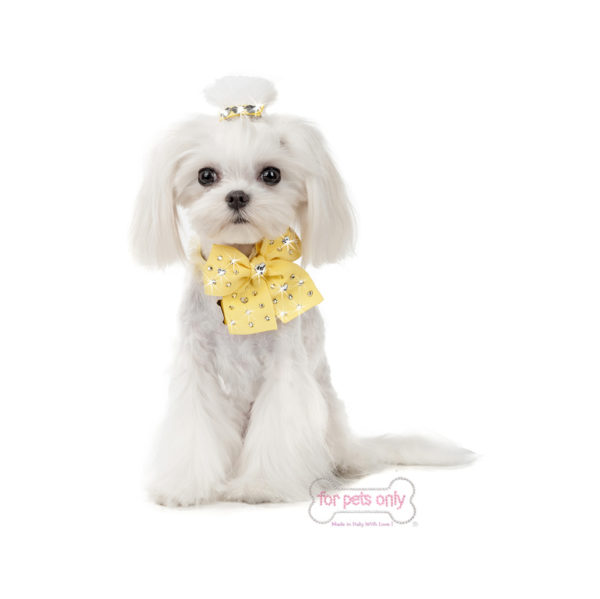 FOR PETS ONLY-DIAMOND HEARTS YELLOW COLLAR - Image 2