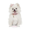FOR PETS ONLY-BUTTERFLY GLAM PINK COLLAR - Image 2