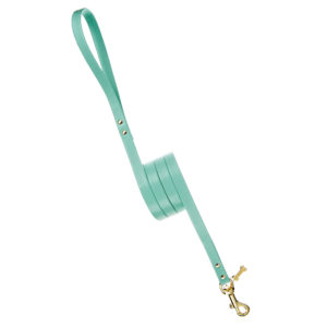 FOR PETS ONLY-PLAIN LEAD AQUA