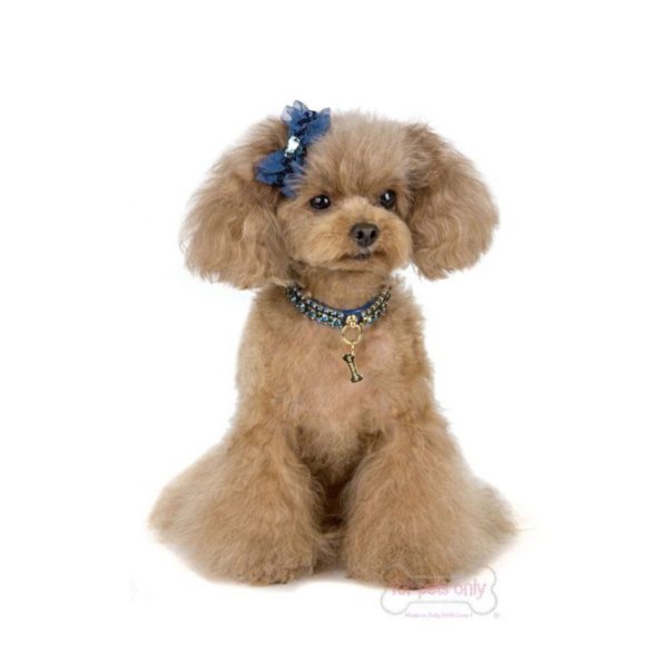 FOR PETS ONLY-ANGEL'S DIAMOND COLLAR BLUE - Image 2