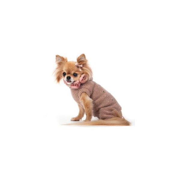 FOR PETS ONLY-BLOOMING 4 - Image 3
