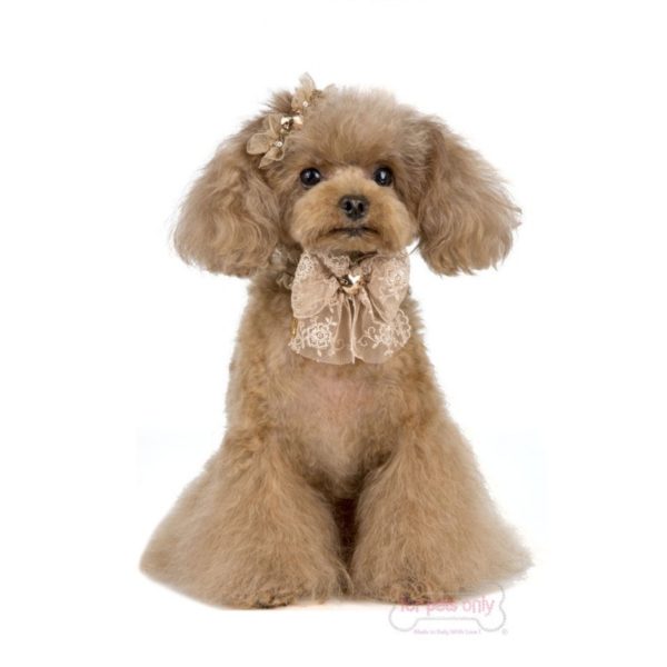 FOR PETS ONLY-C'EST MIMI COLLAR - Image 2