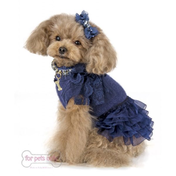 FOR PETS ONLY-CHARMANT DRESS-BLUE - Image 3