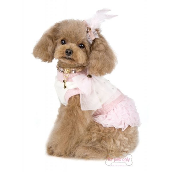FOR PETS ONLY- INIMITABLE WOOL DRESS - Image 3