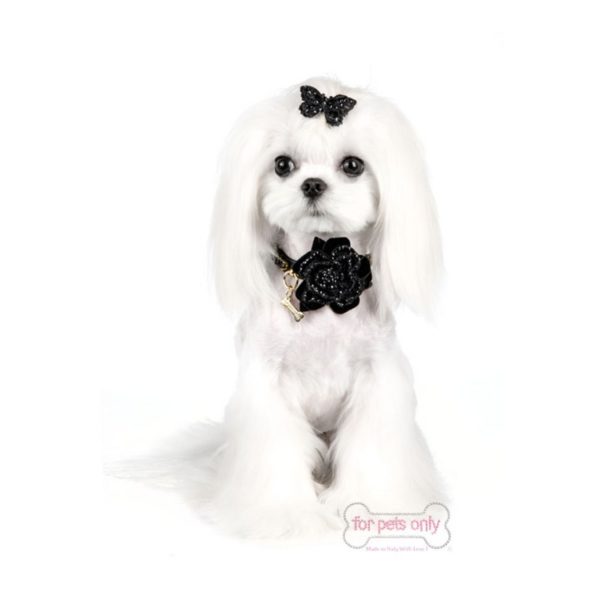 FOR PETS ONLY-ROSE NOIR COLLAR-BLACK - Image 2