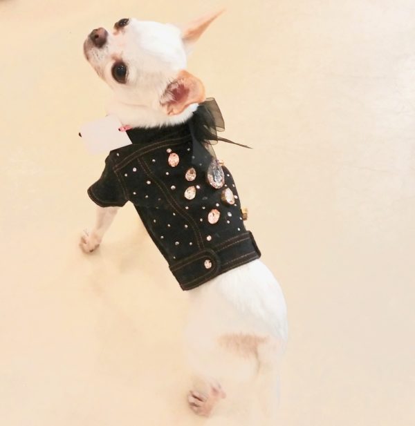 FOR PETS ONLY-VOGUE JEAN JACKET ALL SWAROVSKI-LIMITED EDITION - Image 3
