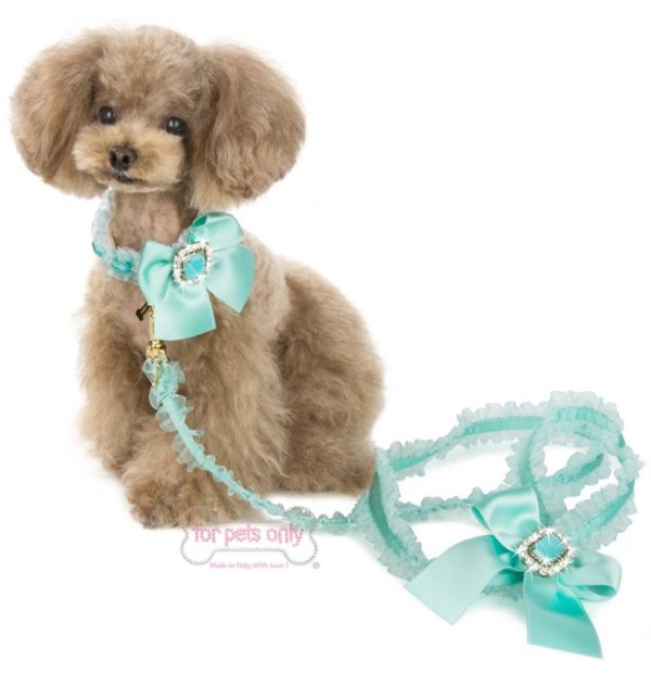 FOR PETS ONLY-COCKTAIL PARTY LINGERIE LEASH-AQUA - Image 2
