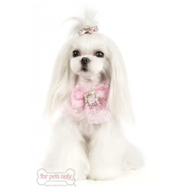 FOR PETS ONLY-COCKTAIL PARTY COLLAR-PINK - Image 2