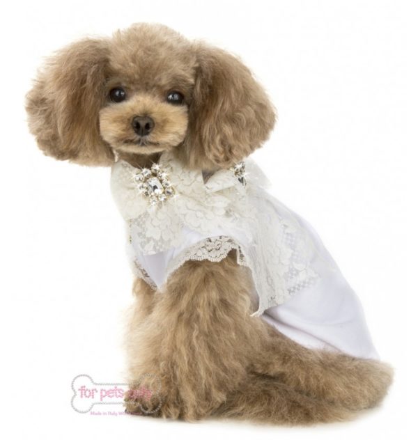 FOR PETS ONLY-COCKTAIL PARTY COLLAR-WHITE - Image 3