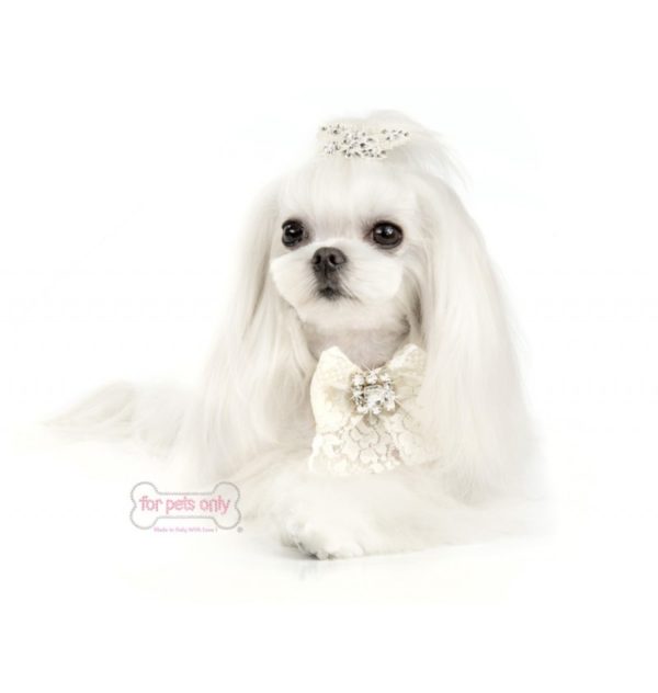 FOR PETS ONLY-COCKTAIL PARTY COLLAR-WHITE - Image 2