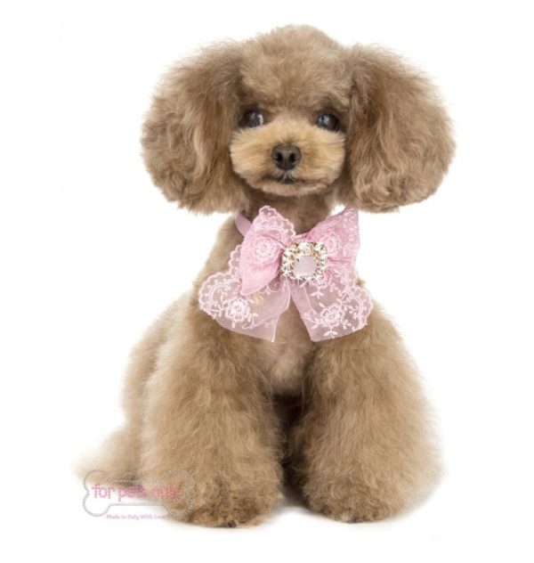 FOR PETS ONLY-COCKTAIL PARTY COLLAR-PINK - Image 4
