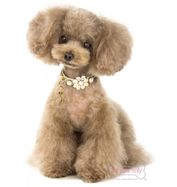 FOR PETS ONLY-CREAM FLOWER COLLAR - Image 3