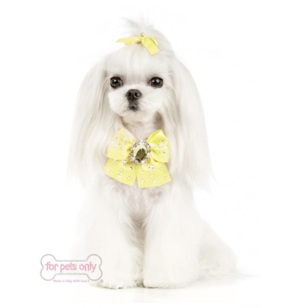 FOR PETS ONLY-DIAMOND COCKTAIL PARTY YELLOW NECKLACE - Image 2