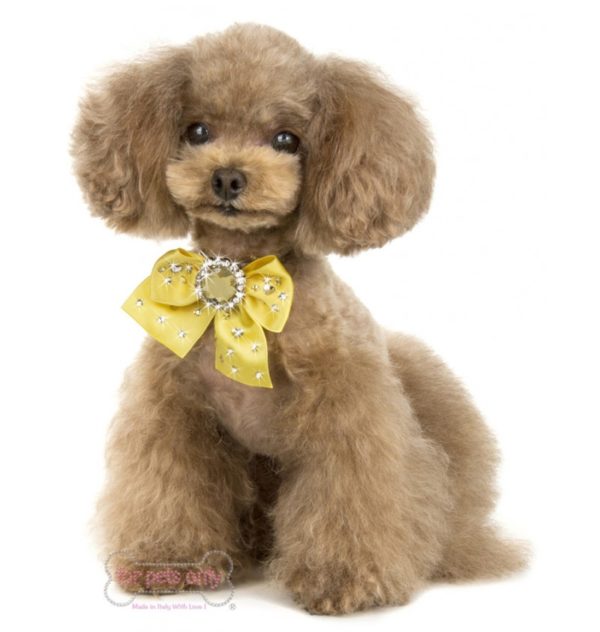 FOR PETS ONLY-DIAMOND COCKTAIL PARTY YELLOW NECKLACE - Image 3