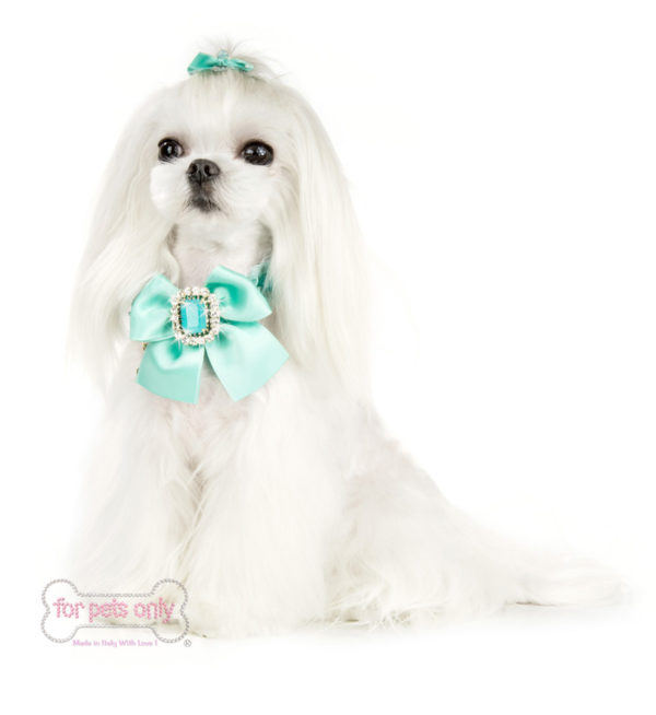 FOR PET ONLY-COCKTAIL DREAM AQUA COLLAR - Image 2