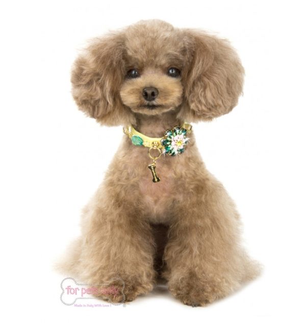 FOR PETS ONLY-PARTY FLOWER COLLAR-YELLOW - Image 2
