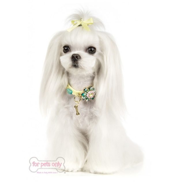 FOR PETS ONLY-PARTY FLOWER COLLAR-YELLOW - Image 3
