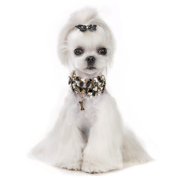 FOR PETS ONLY-Fabulous bijoux black necklace - Image 2