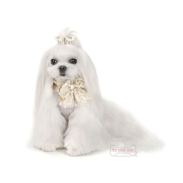 Lace Bow Collar-Beige - Image 3