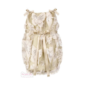 Butterfly dress