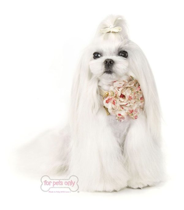 Romantic Rose collar-beige - Image 4
