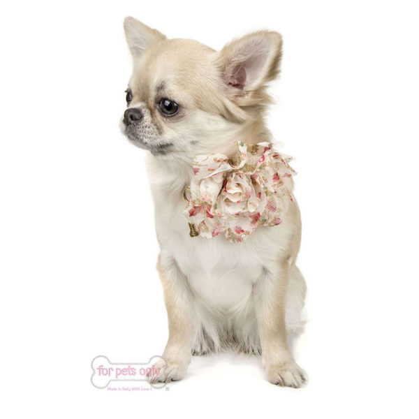 Romantic Rose collar-beige - Image 2