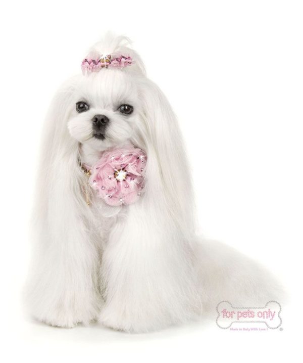 The Beauty collar-Pink - Image 2