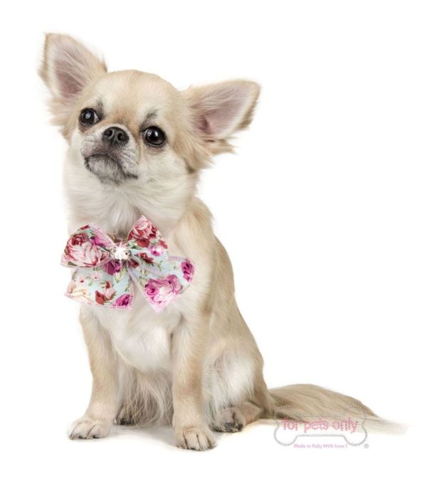Roses Bow collar-Pink - Image 2