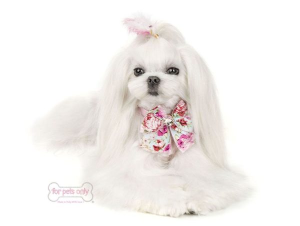 Roses Bow collar-Pink - Image 3