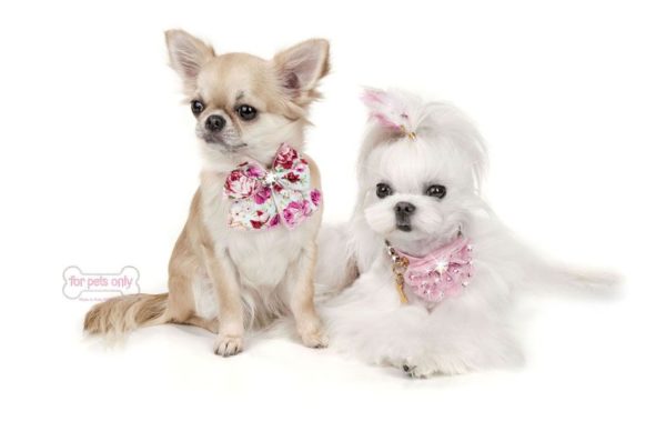 Roses Bow collar-Pink - Image 4