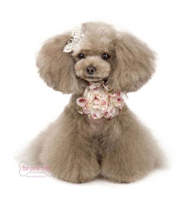 Romantic Rose collar-beige - Image 3