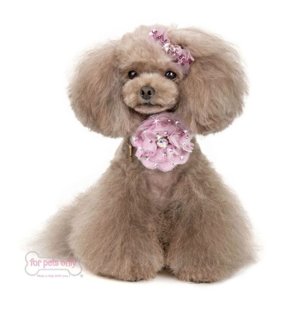 The Beauty collar-Pink - Image 4