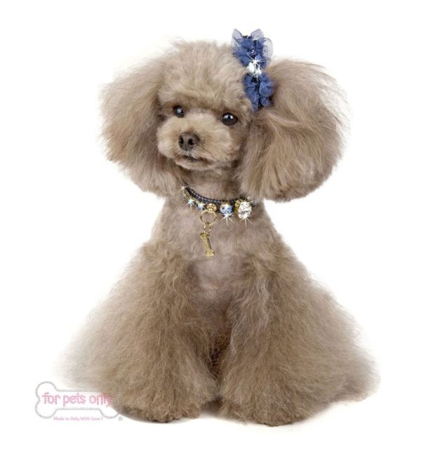 Designer Blue Denim Collar - Image 4