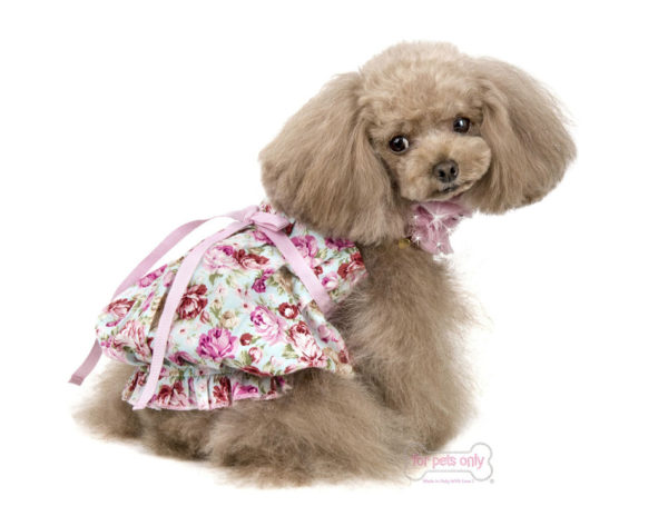 PRETTY PLEASE COTTON ROSE DRESS - Image 3